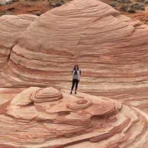 Meet your Posher, Steve